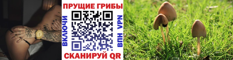 kraken как зайти магазин наркотиков Тюкалинск Псилоцибиновые грибы ЛСД